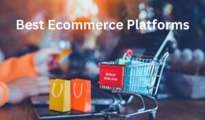 Ultimate Guide to Choosing The Best Ecommerce Platforms